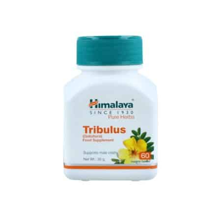 TRIBULUS - Himalaya (60 caps)