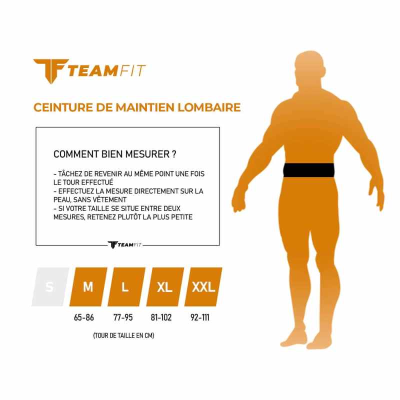 CEINTURE LOMBAIRE - Grise - TeamFit