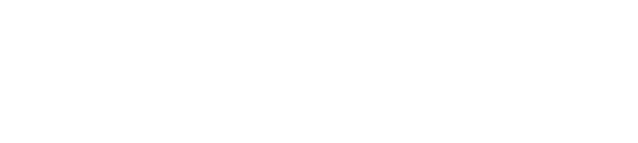 logo-teamfit